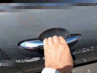 clubman009-doorknob.gif